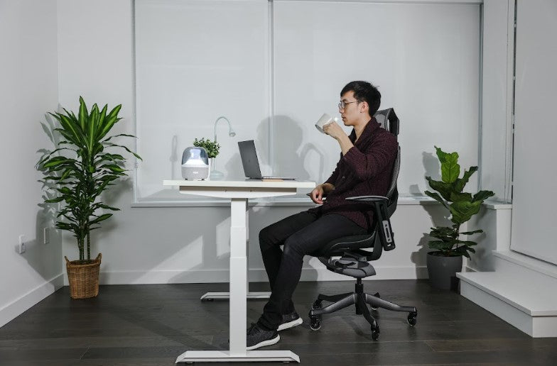 A Comparative Review of the Desky Standing Desk and the MotionGrey Standing Desk