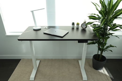 What Makes the Standing Desk a Better Choice Over a Standing Desk Converter?