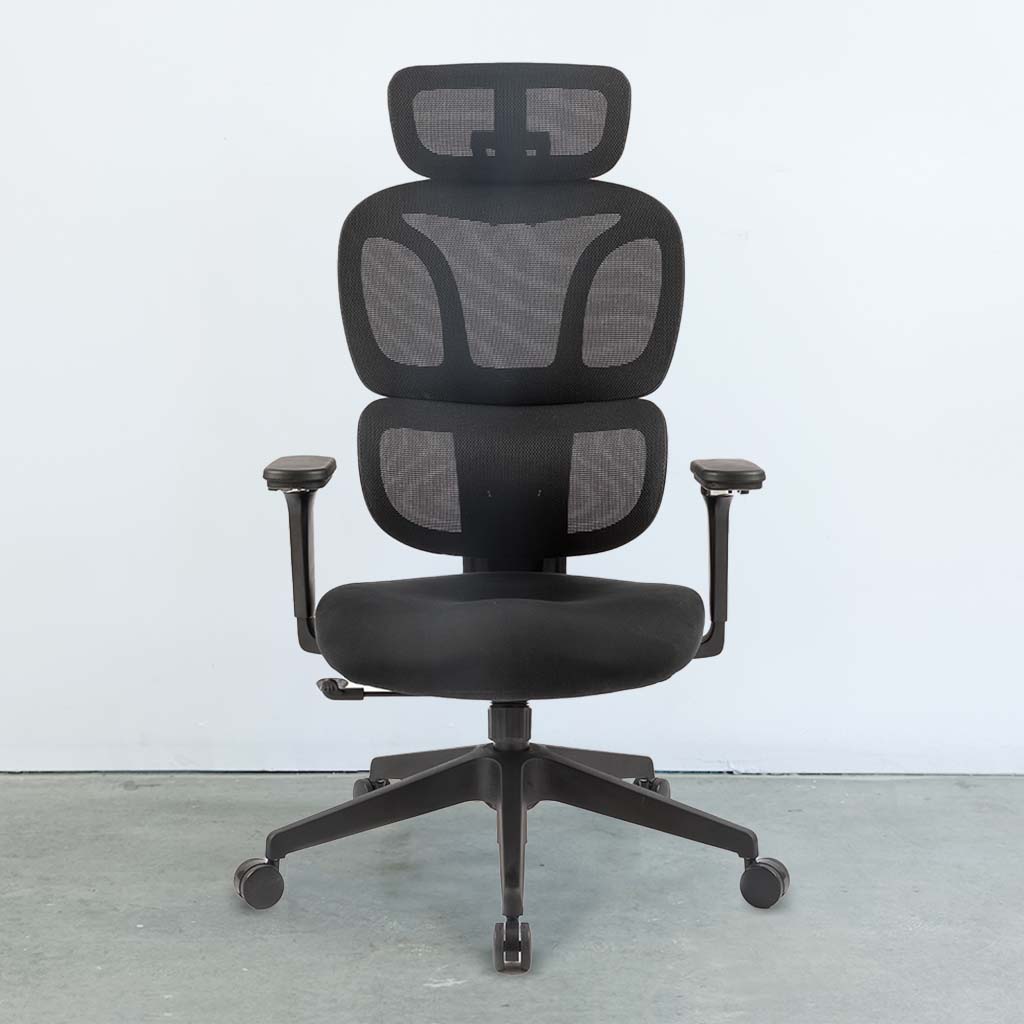 Ergonomic Motion Space Mesh Office Chair