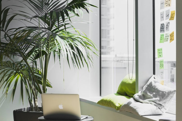 4 Things You Can Do to Optimize Your Workplace This Summer | MotionGrey