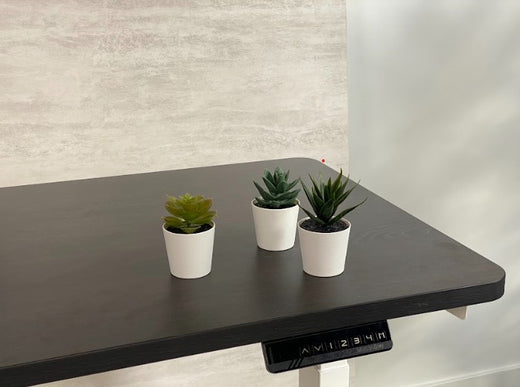 [Standing Desk Highlight] Rise Desk: Review of Features and Specifications