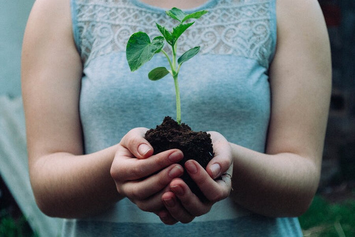 How to Go Green at Work: 10 Basic Ideas to Start Living an Eco-Friendly Work Life | MotionGrey