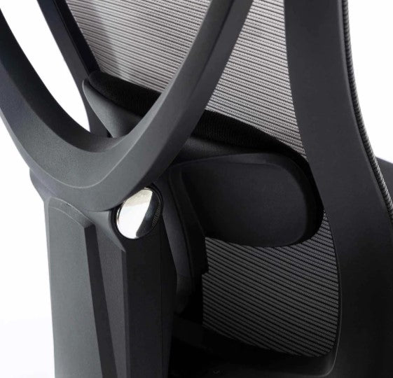Where Should the Lumbar Support Be on a Chair?