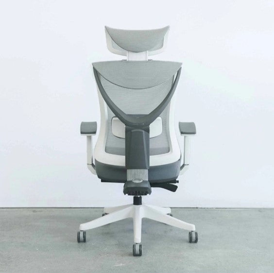 Best Ergonomic Office Chair for Lower Back Pain: Reviews