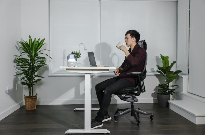 A Comparative Review of the Desky Standing Desk and the MotionGrey Standing Desk