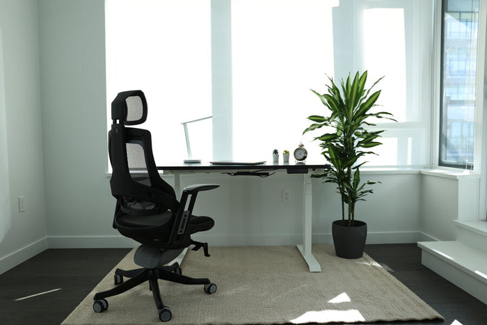 How Lumbar Support Chairs Improve Your Health