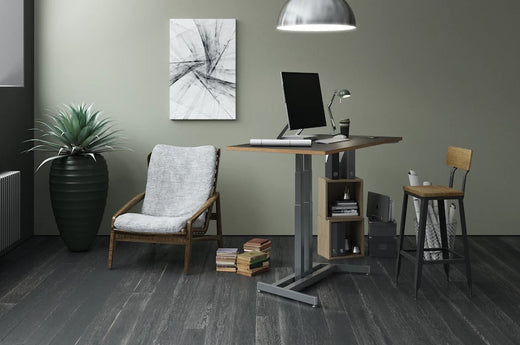 Rise Standing Desk: The Highs and the Lows