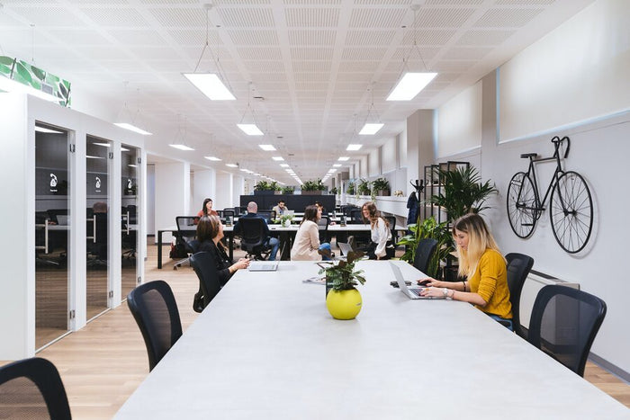 The Best Ways to Add Movement to the Day-to-Day Schedule of Employees in Your Office | MotionGrey