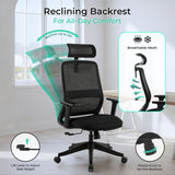 NovaCloud Ergonomic Office Chair