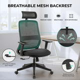 NovaCloud Ergonomic Office Chair