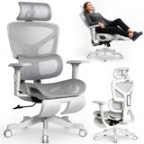 Motion ProMesh Ergonomic Office Chair