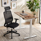NovaCloud Ergonomic Office Chair