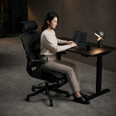 Motion ProMesh Ergonomic Office Chair