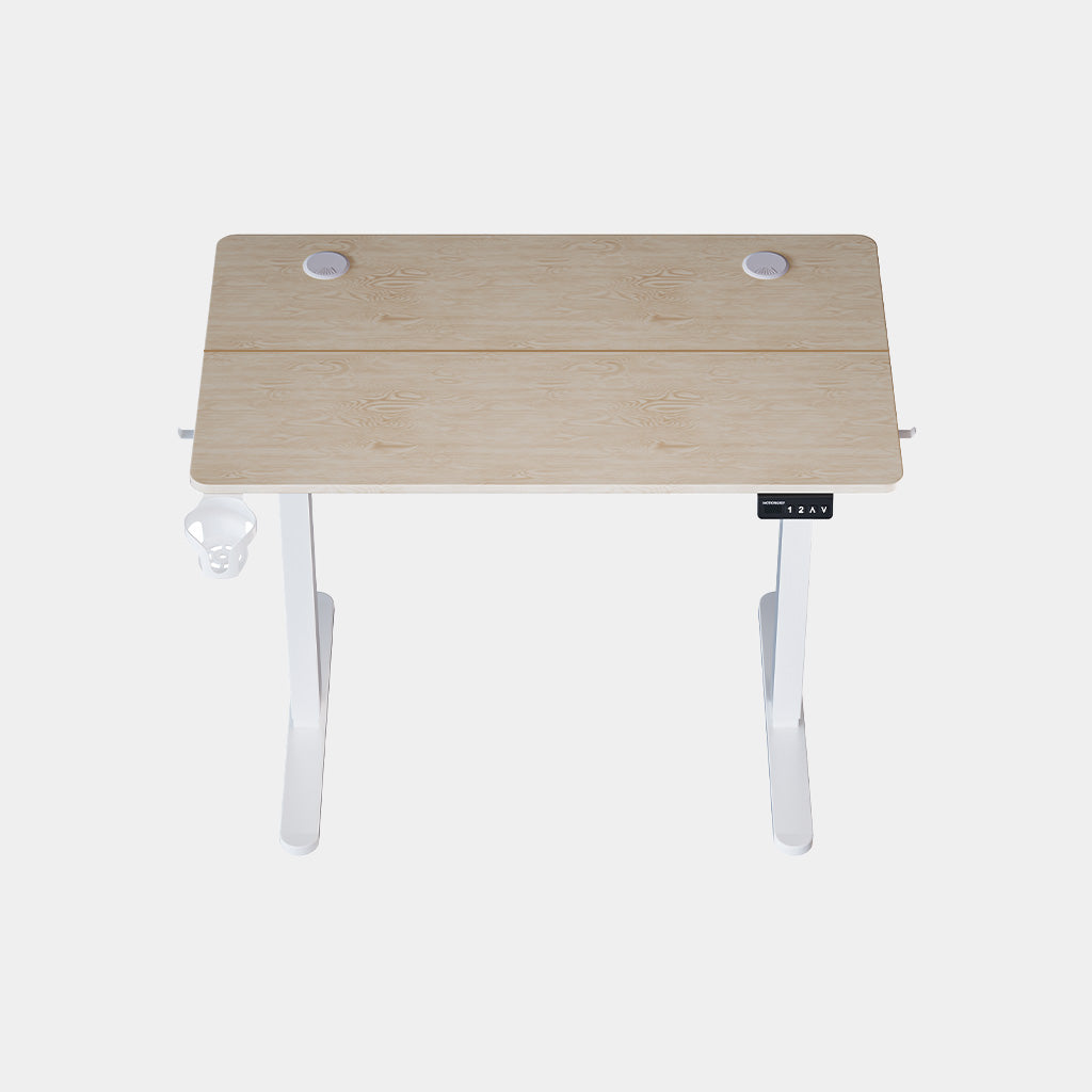Body Desk Motion Ergo2 Series Height Adjustable Ergonomic Sit Standing Desk ...