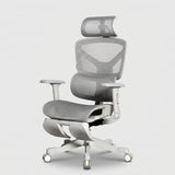 Motion ProMesh Ergonomic Office Chair
