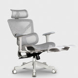 Motion ProMesh Ergonomic Office Chair