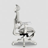 Motion ProMesh Ergonomic Office Chair