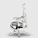 Motion ProMesh Ergonomic Office Chair
