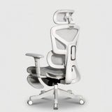 Motion ProMesh Ergonomic Office Chair