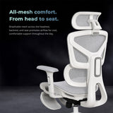 Motion ProMesh Ergonomic Office Chair