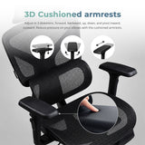 Motion ProMesh Ergonomic Office Chair