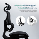 Motion ProMesh Ergonomic Office Chair