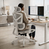 Motion ProMesh Ergonomic Office Chair