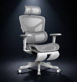 Motion ProMesh Ergonomic Office Chair
