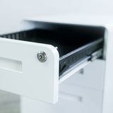 TA-CABINET-WT
