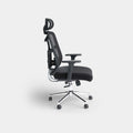 Motion SkyMesh Ergonomic Office Chair