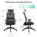 NovaCloud ergonomic office chair dimensions and specifications
