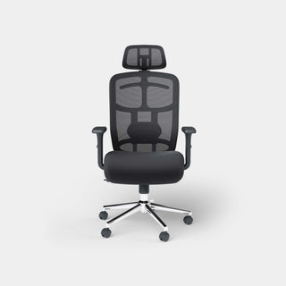 Motion SkyMesh Ergonomic Office Chair