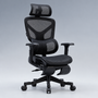 Motion ProMesh Ergonomic Office Chair