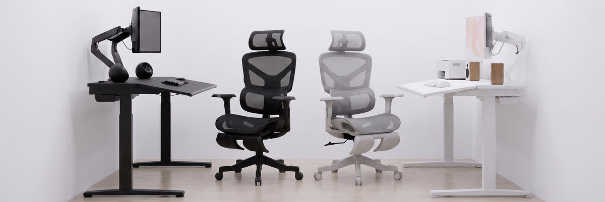 Motion ProMesh Ergonomic Office Chair