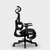 Motion ProMesh Ergonomic Office Chair