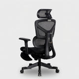 Motion ProMesh Ergonomic Office Chair