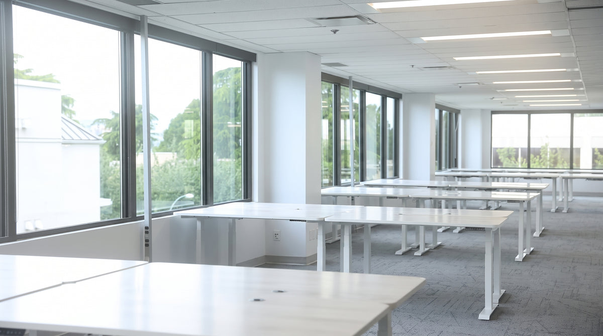 Modern office with rows of MotionGrey height-adjustable standing desks and large windows
