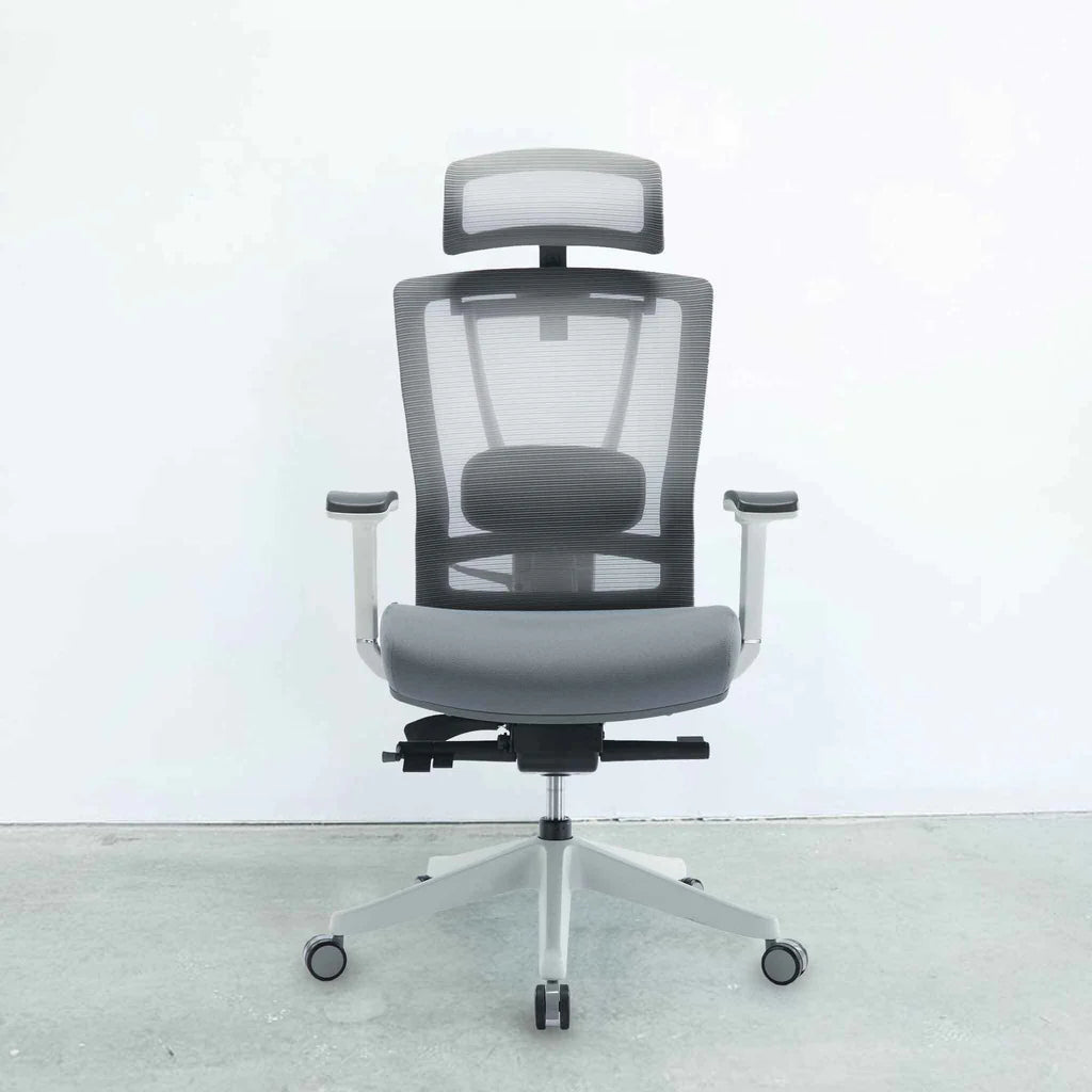 Motiongrey executive ergonomic hotsell