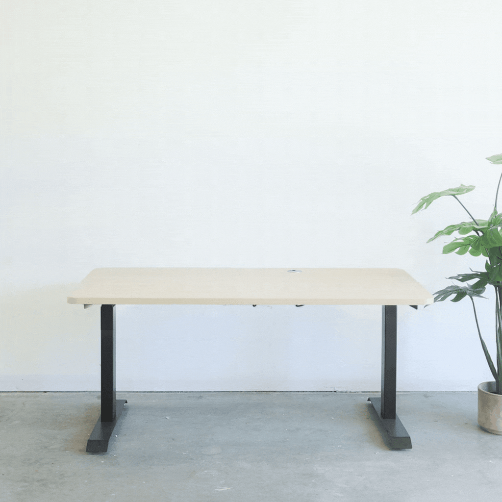 Motion Series - Standing Desk with Table Top L (65 x 24) / Black Oak /  White